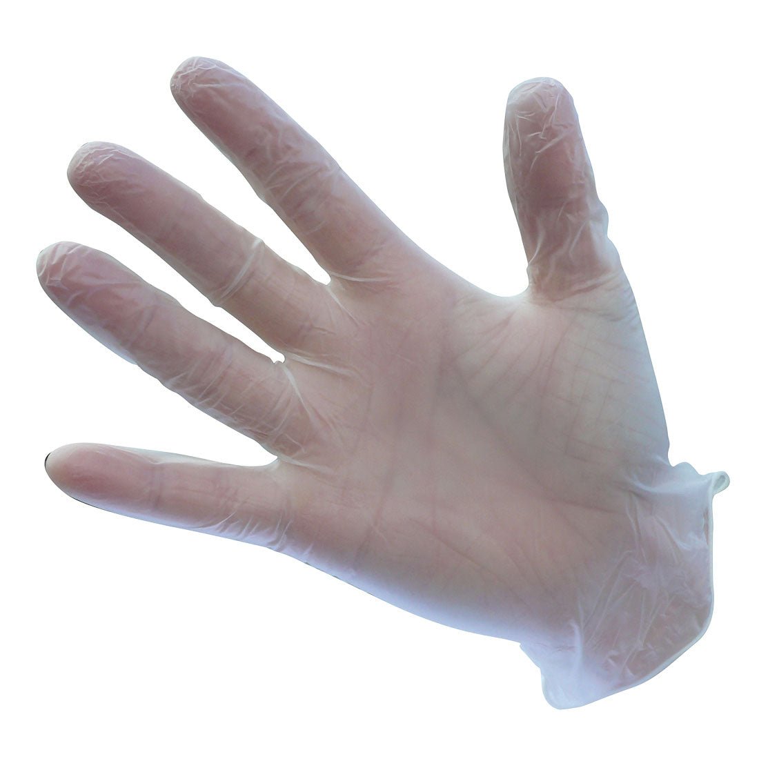 Portwest Powdered Vinyl Disposable Glove (Pk100) - Race Rally Supplies